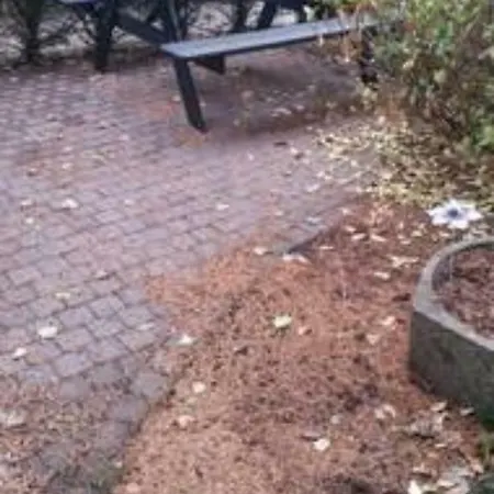 De Groote Peel *